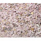 VANROBAEYS SUPER GRIT MIX 10KG – Nr.48