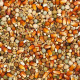 Vanrobaeys -Nr.25 - RACING RED CRIBBS MAIZE - 25 kg