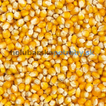 Vanrobaeys - Nr. 78 - Žltá Cribbs kukurica - 25 kg
