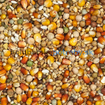 Vanrobaeys -Nr. 3 RACING RED AND YELLOW CRIBBS MAIZE, 25kg, 