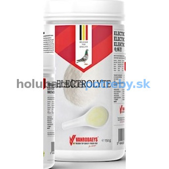 Vanrobaeys - Nr. 744 Electrolyte 750g,